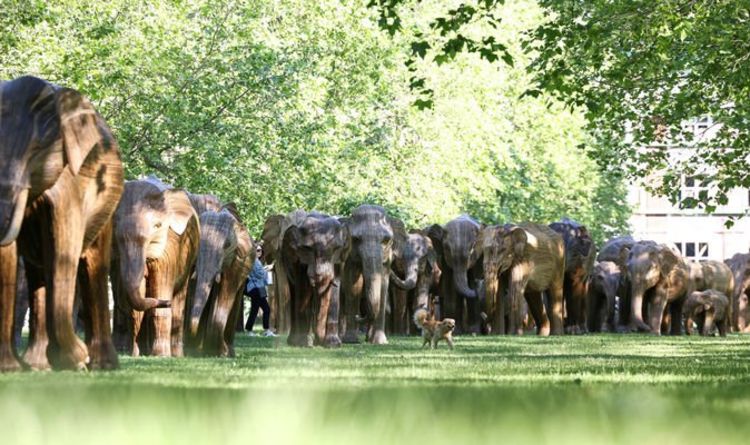 Promenez-vous parmi un troupeau d'éléphants pendant que des artistes apportent des sculptures grandeur nature au parc