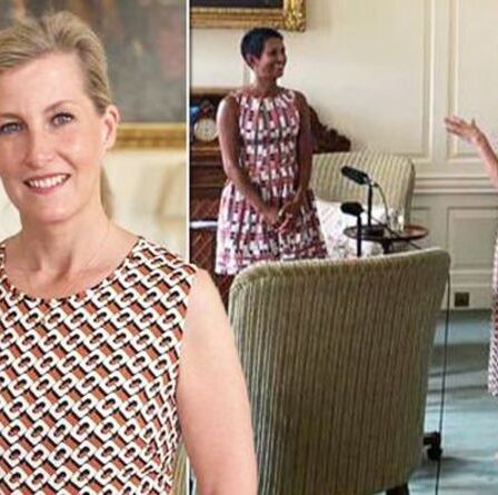 'Quelle charmante dame': Sophie Wessex dans une magnifique robe de 576 £ pour une interview déchirante à la BBC