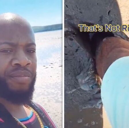 'Qu'est-ce que c'est que ça!'  - L'influenceur américain Tiktok horrifié par la plage de Weston-super-Mare