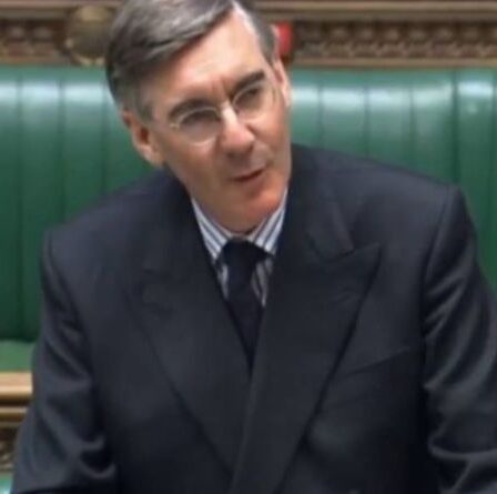 Rees-Mogg efface le groupe « boutonneux et faible » derrière le retrait du portrait de la reine dans un discours