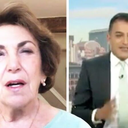 'Répugnant!'  Adil Ray se déchaîne contre Edwina "Les médecins migrants retardent le NHS - ils sont britanniques!"
