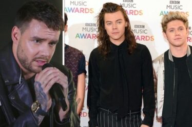 Réunion One Direction: Liam Payne laisse tomber un indice après l'appel de Harry Styles