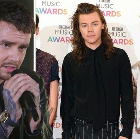 Réunion One Direction: Liam Payne laisse tomber un indice après l'appel de Harry Styles