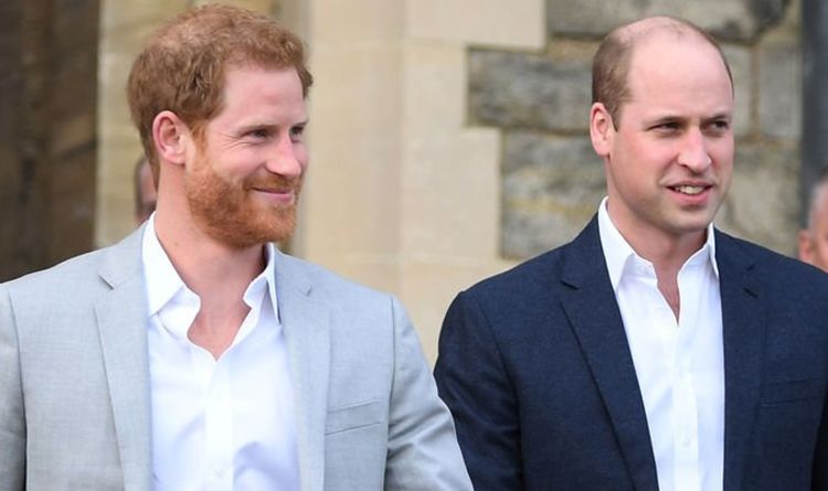 Réunion du prince William et de Harry ON: Duke ne sautera pas le dévoilement de la statue maintenant sa fille née