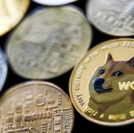 Rival Shiba Inu : Qu'est-ce que la pièce de monnaie Sanshu Inu - et peut-elle battre SHIB ?