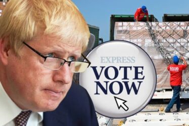 SONDAGE : Boris Johnson devrait-il annuler ses plans de réduction de l'aide étrangère ?  Le Royaume-Uni devrait-il payer 0,7 % ?  VOTE