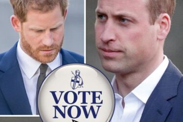 SONDAGE Royal : Le prince William et Harry devraient-ils enfin résoudre la querelle lors de l'événement Diana ?  VOTE