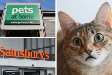 Sainsbury's & Pets at Home rappelle de toute urgence des aliments pour chats en raison d'un lien potentiel avec une maladie mortelle