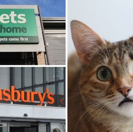 Sainsbury's & Pets at Home rappelle de toute urgence des aliments pour chats en raison d'un lien potentiel avec une maladie mortelle