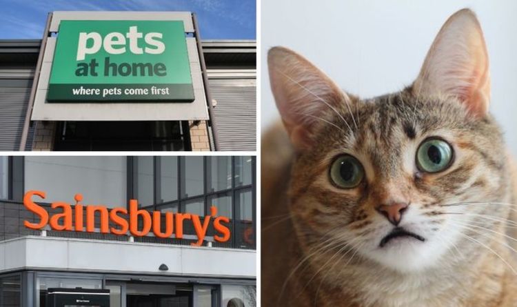 Sainsbury's & Pets at Home rappelle de toute urgence des aliments pour chats en raison d'un lien potentiel avec une maladie mortelle