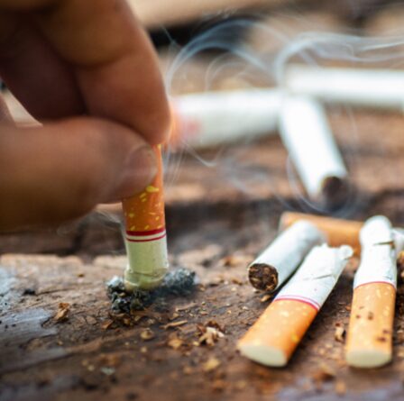 Sans fumée d'ici 2030 : les députés veulent interdire la vente de cigarettes à tous les moins de 21 ans dans le cadre de la répression