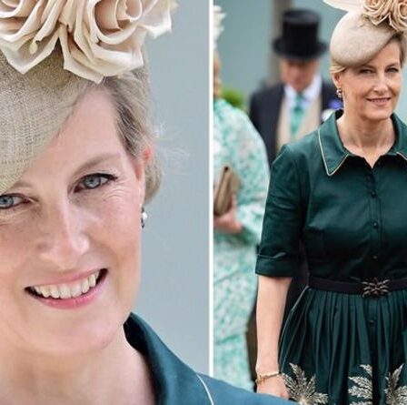 Santé de Sophie Wessex: Royal parle de sa ménopause «difficile» – principaux symptômes