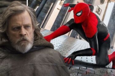 Star Wars : le jeune Luke Skywalker « sera joué par la star de Spider-Man » dans l'émission Disney Plus