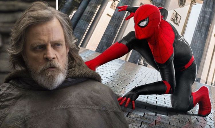 Star Wars : le jeune Luke Skywalker « sera joué par la star de Spider-Man » dans l'émission Disney Plus