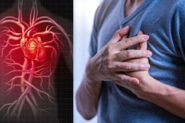 Symptômes de crise cardiaque : les cinq signes que vous ne devriez jamais ignorer – Liste COMPLÈTE