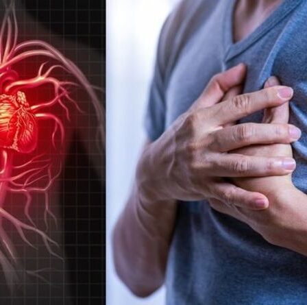 Symptômes de crise cardiaque : les cinq signes que vous ne devriez jamais ignorer – Liste COMPLÈTE