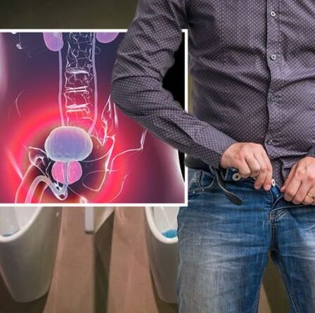 Symptômes du cancer de la prostate : la force de votre pipi pourrait être un signe avant-coureur
