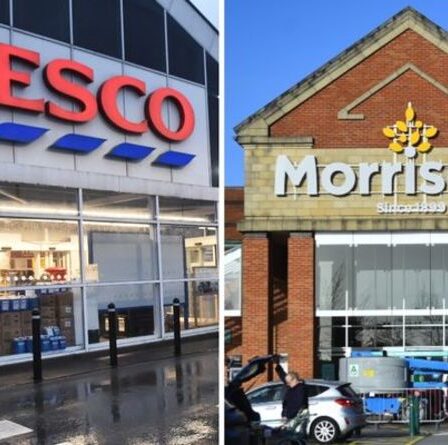 Tesco et Morrisons rejettent la viande australienne, un coup de pouce majeur pour les agriculteurs britanniques