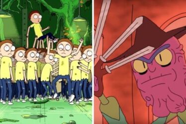 Théories de Rick et Morty: le méchant de la saison 1 classique est en fait Morty alors que les fans repèrent un indice clé