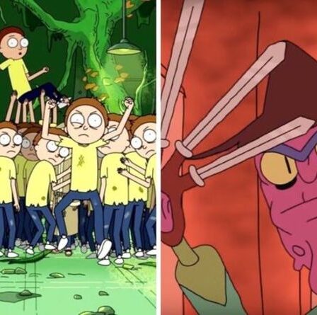 Théories de Rick et Morty: le méchant de la saison 1 classique est en fait Morty alors que les fans repèrent un indice clé