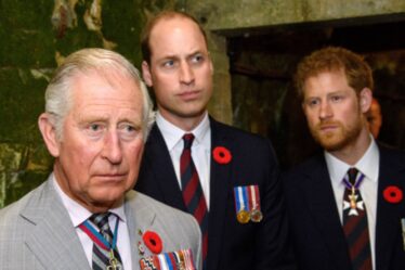 "Très blessé", le prince Charles a laissé "une coquille choquée" par la faille de Harry et William, selon un ami