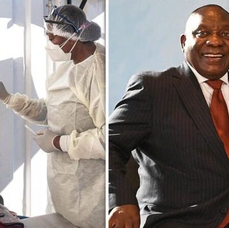 Troisième vague de Covid en Afrique du Sud: SA de retour dans un verrouillage PROFOND - derniers conseils aux voyageurs