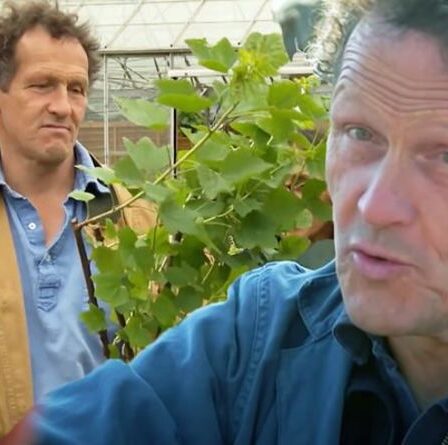 'Tu veux plus?'  Monty Don se moque du spectateur de Gardeners 'World pour son absence continue de l'émission