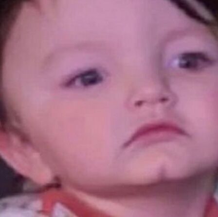 Un enfant est mort coincé dans un siège auto après une overdose de sa mère