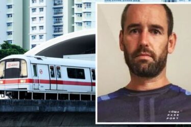 Un expatrié britannique risque six mois de prison après qu'une vidéo sur Facebook l'ait montré dans un train sans masque