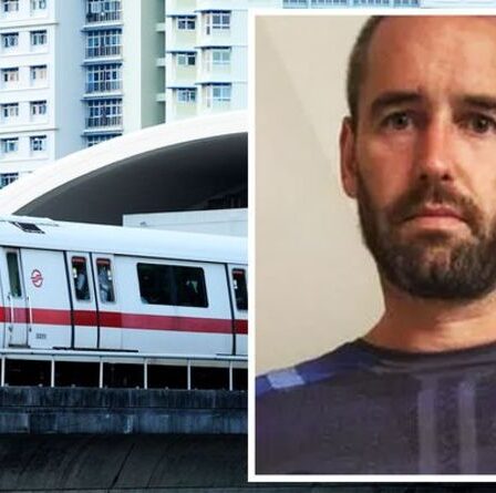 Un expatrié britannique risque six mois de prison après qu'une vidéo sur Facebook l'ait montré dans un train sans masque