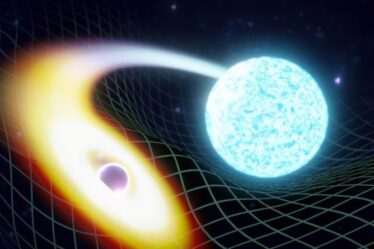 Un trou noir dévorant une étoile à neutrons repéré pour la toute première fois "Un autre jalon"