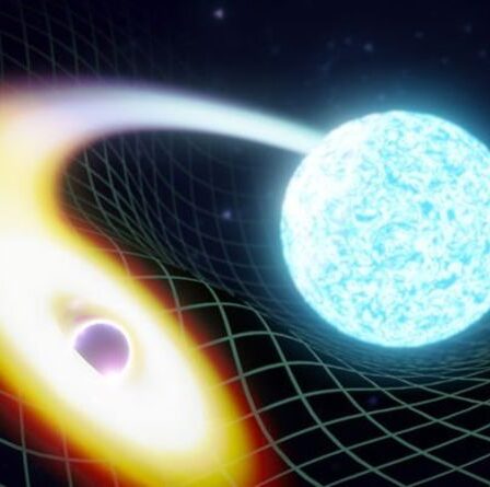 Un trou noir dévorant une étoile à neutrons repéré pour la toute première fois "Un autre jalon"