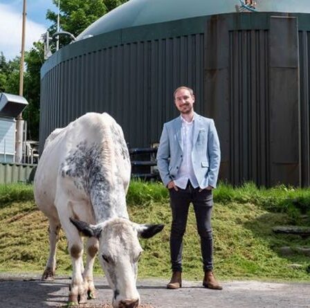 Une entreprise de cryptographie exploite des ordinateurs miniers alimentés par du fumier