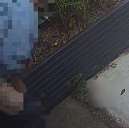 Une famille ciblée par un homme atteint de « diarrhée explosive » pendant des années à l'extérieur de la maison l'attrape en vidéosurveillance