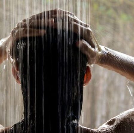 Une femme de ménage partage le «meilleur hack de nettoyage de votre vie» qui fait briller la douche en quelques secondes