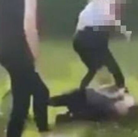 Une fille sans défense de 13 ans et une femme de 31 ans brutalement attaquées par une bande de voyous dans une vidéo d'horreur