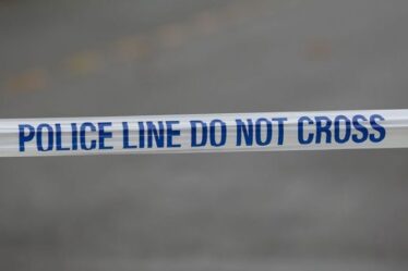 Une fusillade et des coups de couteau à Londres marquent une nuit sanglante dans la capitale pour les détectives