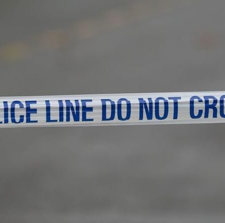 Une fusillade et des coups de couteau à Londres marquent une nuit sanglante dans la capitale pour les détectives