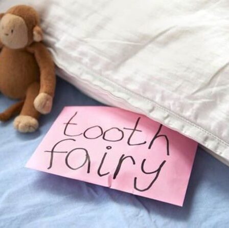 Une mère pose des questions sur le «taux d'utilisation» pour la visite de la fée des dents et trouve des chiffres «obscènes»