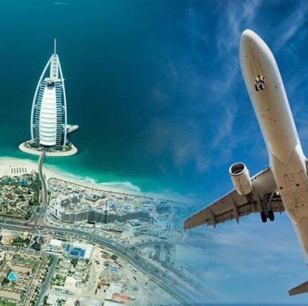Vacances à Dubaï: les Émirats arabes unis suscitent l'espoir de «préparatifs de voyage sur mesure» - certains vols reprennent