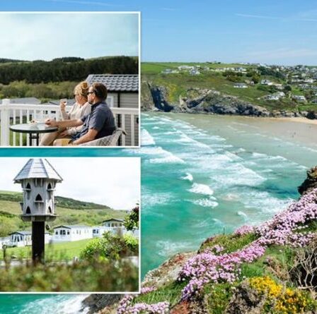 Vacances en Cornouailles : détendez-vous au bord de la mer de Cornouailles au Sun Haven de Lovat Parks