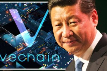 Vechain, la crypto-monnaie "Ethereum killer" soutenue par la Chine, voit ses prix augmenter de près de 2 000%