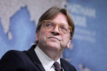 Verhofstadt s'est moqué de blâmer les vetos pour « tuer la crédibilité du bloc »