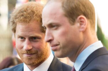 William et Harry se réunissent pour le dévoilement de l'État de Diana – tous les détails dans une nouvelle déclaration