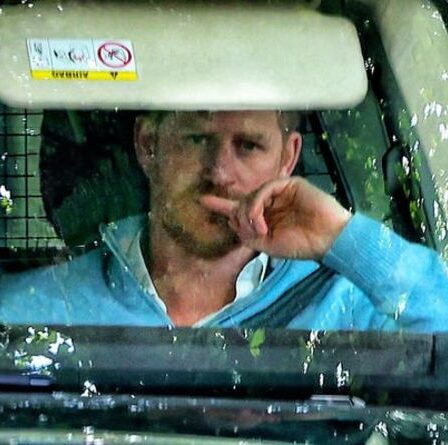 William et Harry invités à faire la paix alors que les frères se réunissent pour dévoiler la statue de Diana