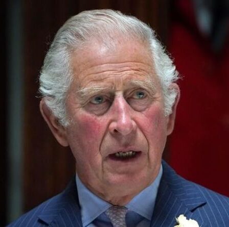 Harry a laissé Charles "blessé" par des attaques – Duke a dit de "ne pas s'en prendre" à la famille royale