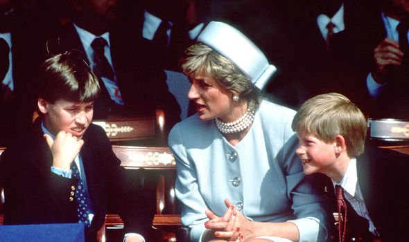 William et Harry avec leur défunte mère, la princesse Diana