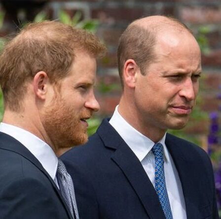 William et Harry « semblaient un peu forcés » alors que la pression lors du dévoilement de la statue « se montrait parfois »
