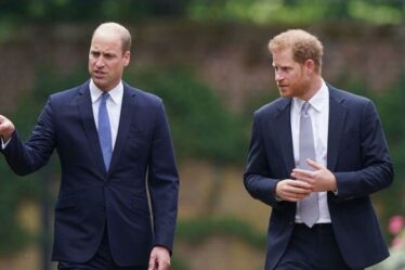 Le prince Harry « boule d'énergie nerveuse » lors du dévoilement de la statue de Diana au milieu d'une querelle avec William