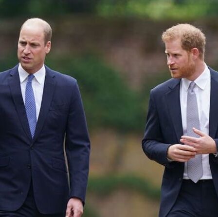 Le prince Harry « boule d'énergie nerveuse » lors du dévoilement de la statue de Diana au milieu d'une querelle avec William